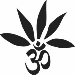 lit yogi lifestyle