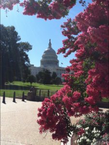 Growth through the hustle in Washington, D.C. at the Nation's Capital. Growth hustle