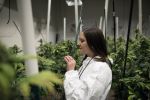 My 420 Tours
